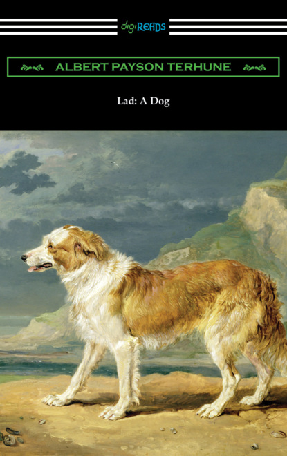 Albert Payson Terhune - Lad: A Dog