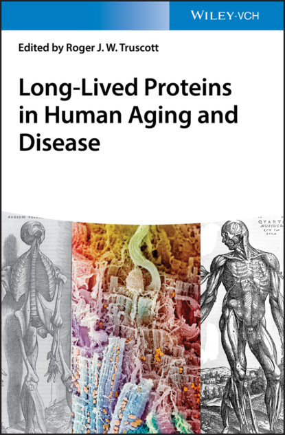 Группа авторов - Long-lived Proteins in Human Aging and Disease