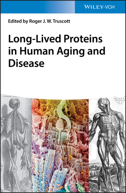 Long-lived Proteins in Human Aging and Disease - Группа авторов