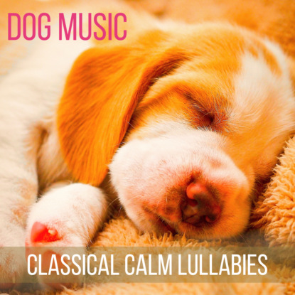 Ксюша Ангел - Dog Music (Classical Calm Lullabies for Your Pets)