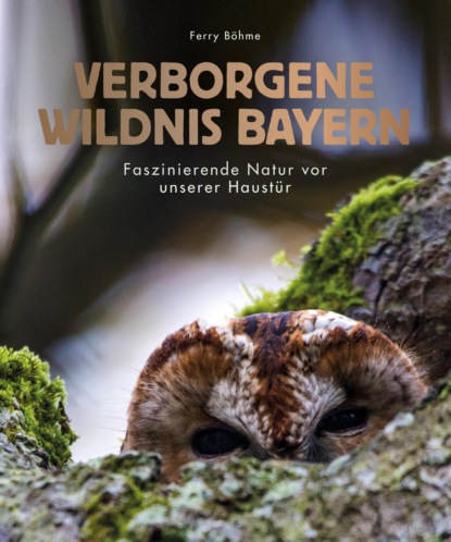 Ferry Böhme - Verborgene Wildnis Bayern