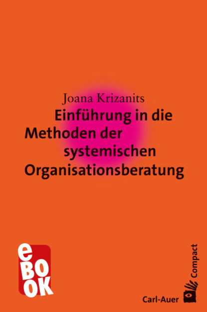 Joana Krizanits - Einführung in die Methoden der systemischen Organisationsberatung