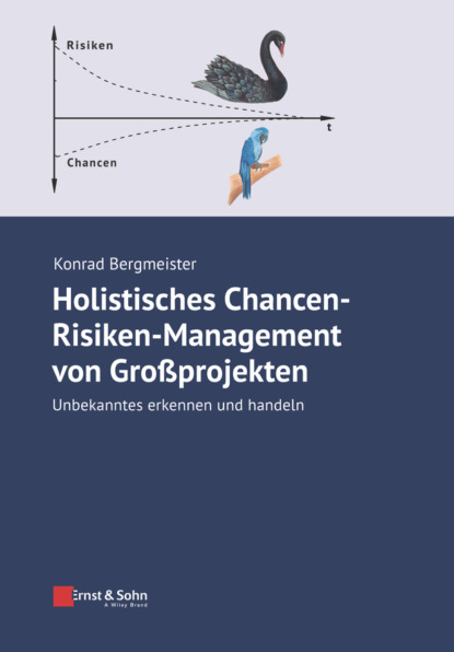 Konrad Bergmeister - Holistisches Chancen-Risiken-Management von Grossprojekten