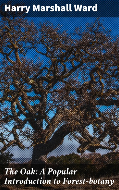 Harry Marshall Ward - The Oak: A Popular Introduction to Forest-botany