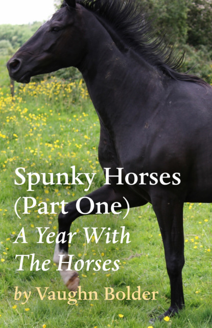 Vaughn Bolder - Spunky Horses (Part One) - A Year With The Horses