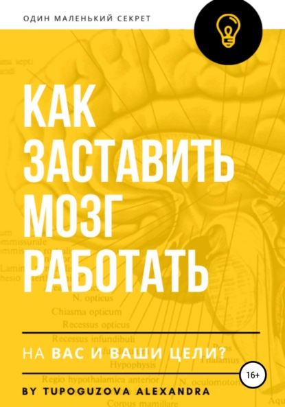 Как заставить мозг работать на вас и ваши цели (Александра Тупогузова). 2019г. 