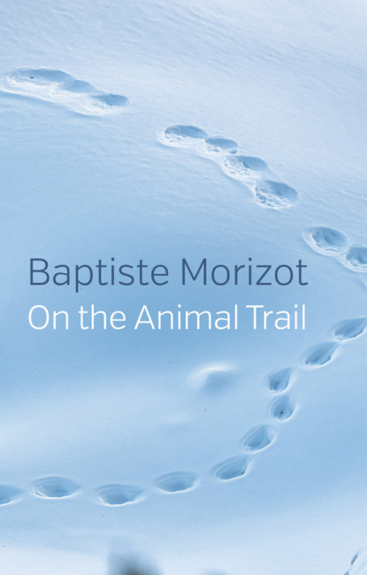 Baptiste Morizot - On the Animal Trail