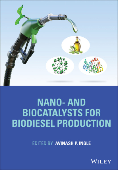 Группа авторов - Nano- and Biocatalysts for Biodiesel Production
