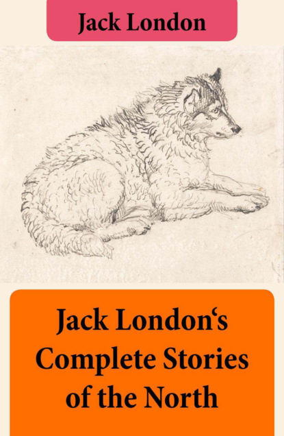 Jack London - Jack London's Complete Stories of the North