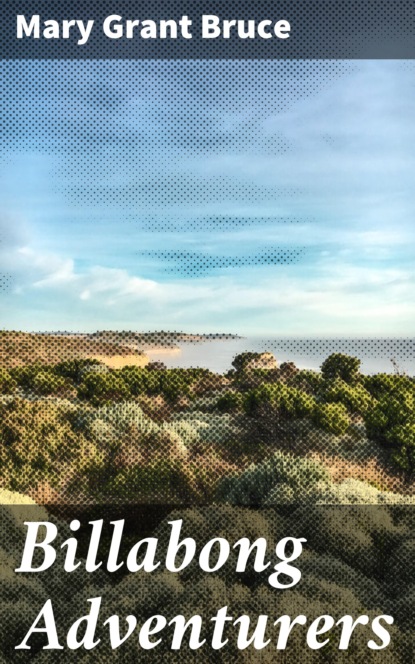 

Billabong Adventurers