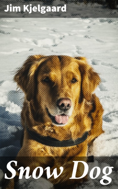 

Snow Dog