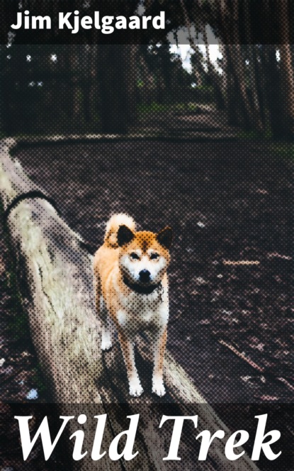 

Wild Trek