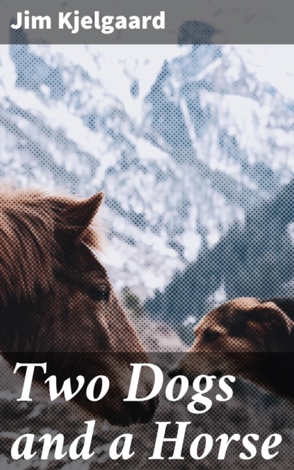 

Two Dogs and a Horse