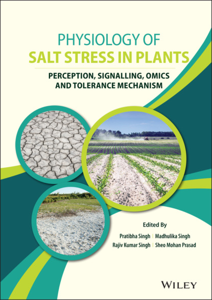 Physiology of Salt Stress in Plants - Группа авторов
