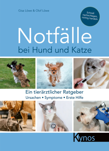 

Notfälle bei Hund und Katze