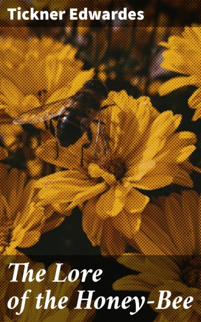 

The Lore of the Honey-Bee