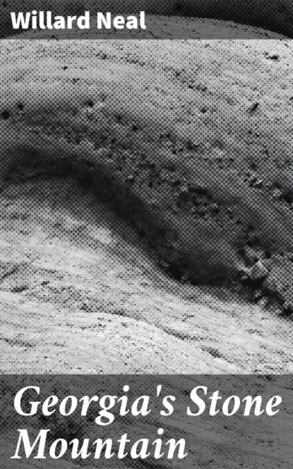 

Georgia's Stone Mountain