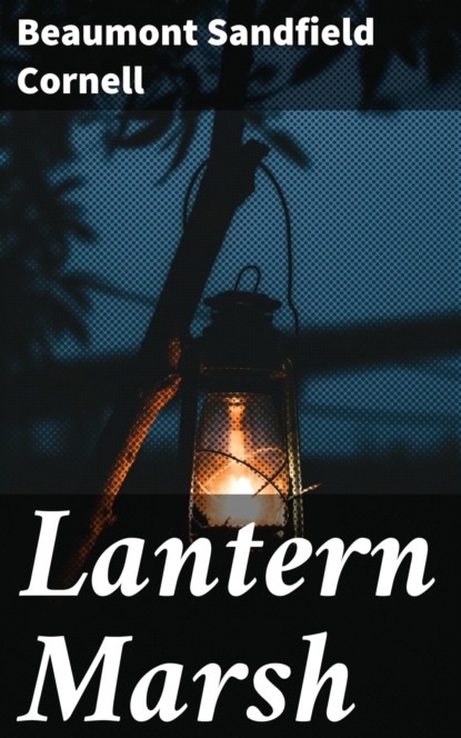 

Lantern Marsh