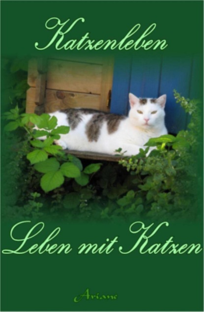 Katzenleben