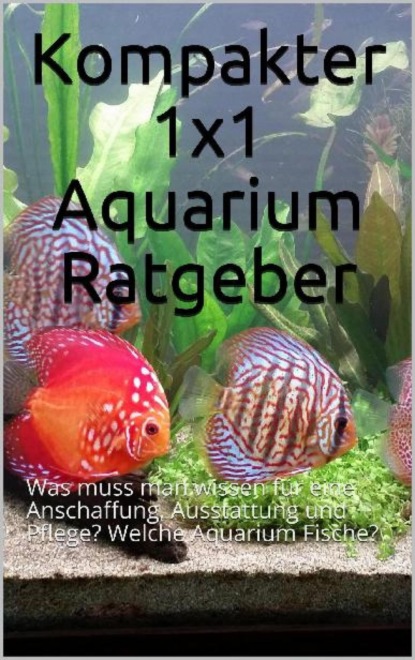 Kompakter 1x1 Aquarium Ratgeber (Powerlifting check). 