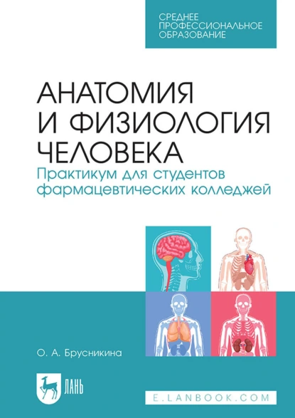 Обложка книги Анатомия и физиология человека. Практикум для студентов фармацевтических колледжей. Учебное пособие для СПО, О. А. Брусникина