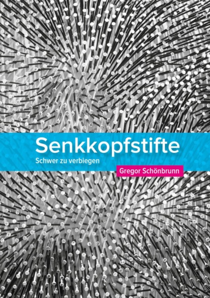 Senkkopfstifte