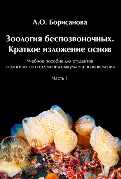 Обложка книги Зоология беспозвоночных. Краткое изложение основ, Анастасия Олеговна Борисанова