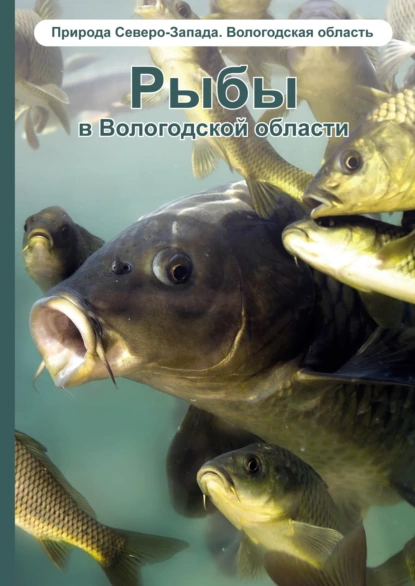 Обложка книги Рыбы в Вологодской области, М. Я. Борисов