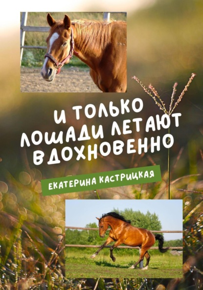 И только лошади летают вдохновенно ~ Екатерина Кастрицкая (скачать книгу или читать онлайн)
