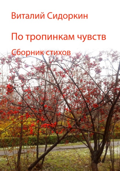 По тропинкам чувств ~ Виталий Сидоркин (скачать книгу или читать онлайн)