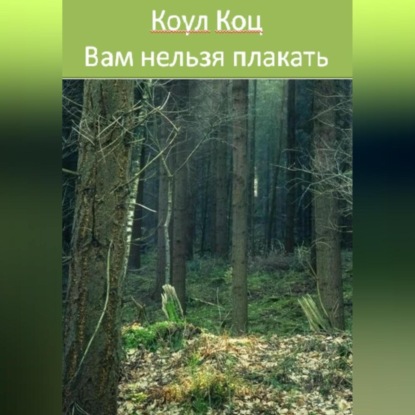 Аудиокнига Вам нельзя плакать ISBN 