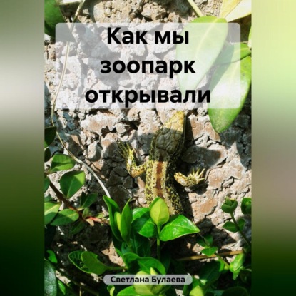 Аудиокнига Как мы зоопарк открывали ISBN 