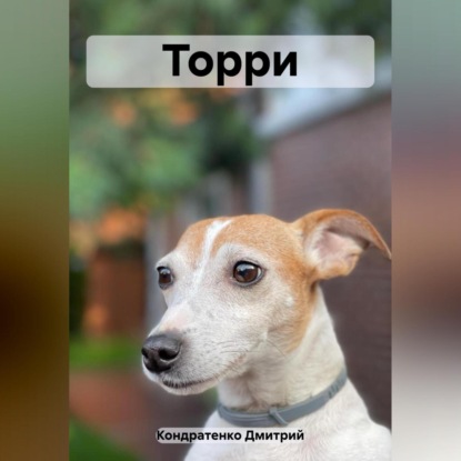 Аудиокнига Торри ISBN 