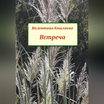 Аудиокнига Встреча ISBN 