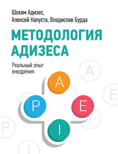

Методология Адизеса. Реальный опыт внедрения