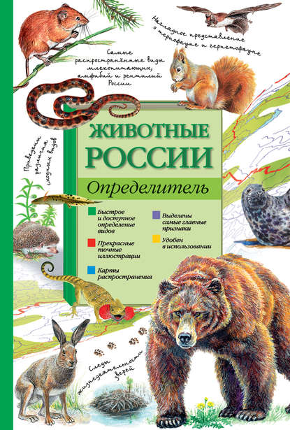 П. М. Волцит - Животные России. Определитель