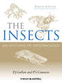 The Insects