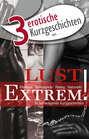 3 erotische Kurzgeschichten aus: \"Lust Extrem!\"