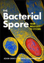 The Bacterial Spore