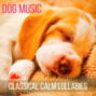 Dog Music (Classical Calm Lullabies for Your Pets)