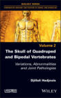 The Skull of Quadruped and Bipedal Vertebrates