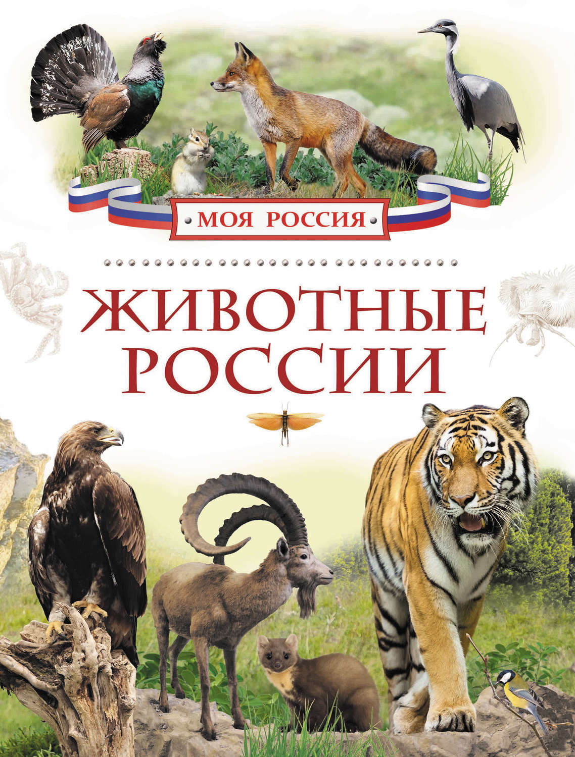 Книга про животный мир. Детская энциклопедия «животные России» Росмэн. Травина и. 