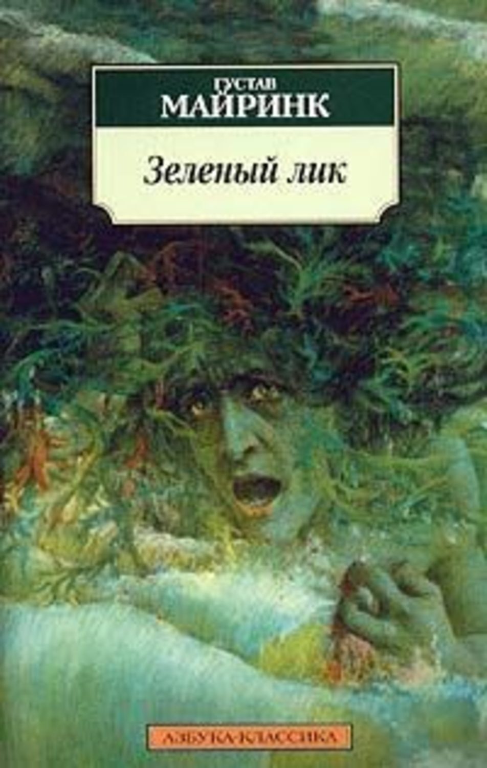 Лик книги. Густав Майринк зеленый лик. Белый доминиканец Майринк. Майринк зеленый лик иллюстрации. Зеленый лик. Майстер Леонгард.