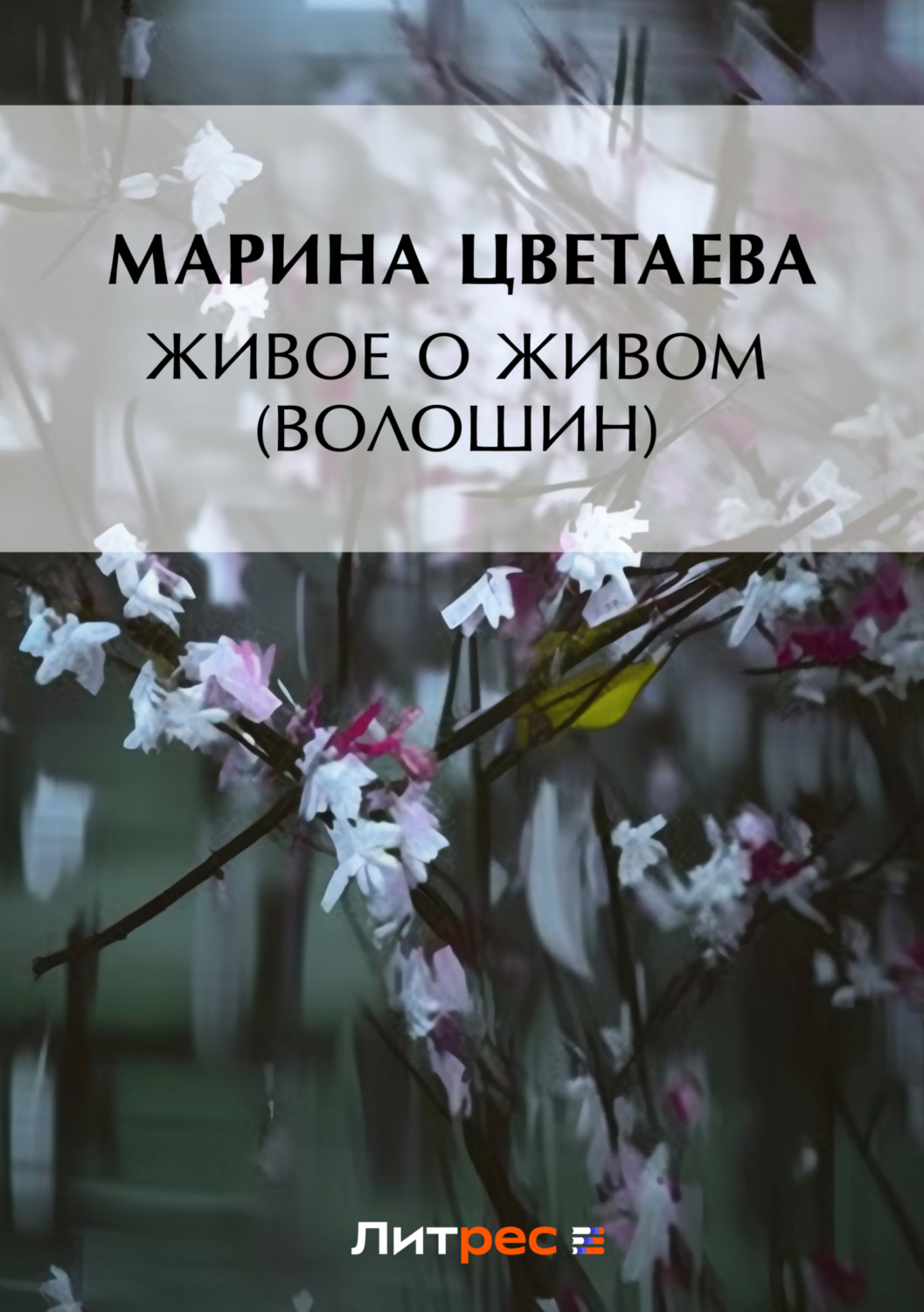 Марина Цветаева книга Живое о живом (Волошин) – скачать fb2, epub, pdf  бесплатно – Альдебаран, серия Проза Марины Цветаевой