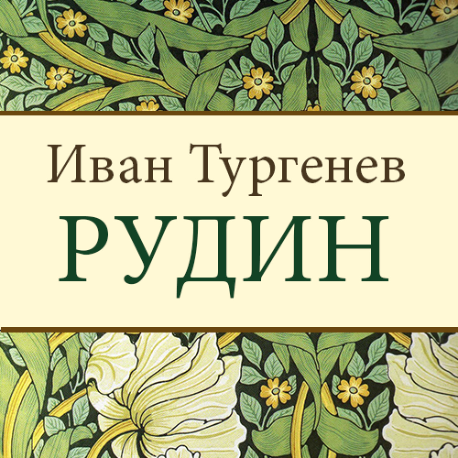 Тургенев рудин картинки