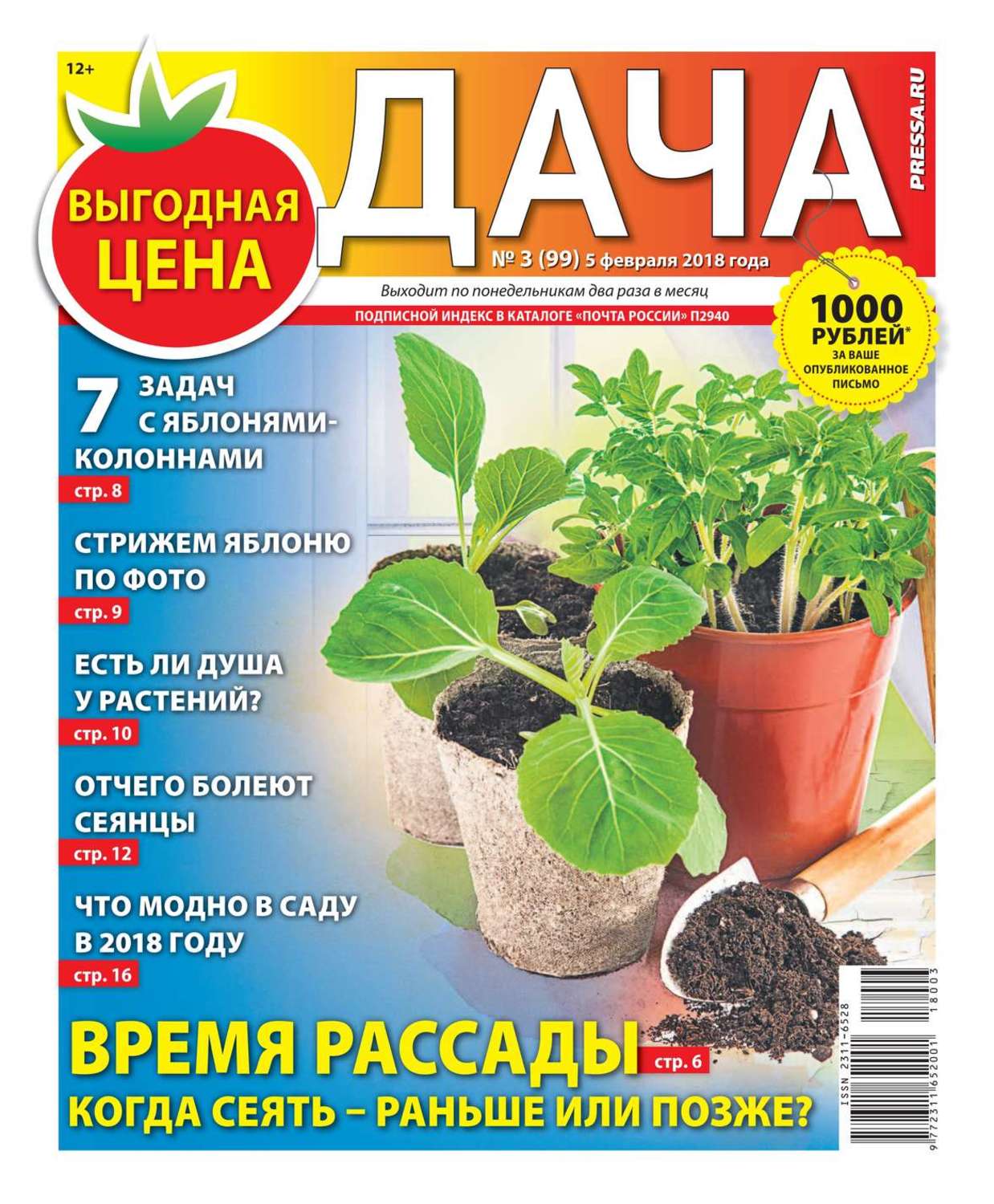 Книги дача. Газета дача. Газета моя дача. Газета на даче фото. Книги на даче.