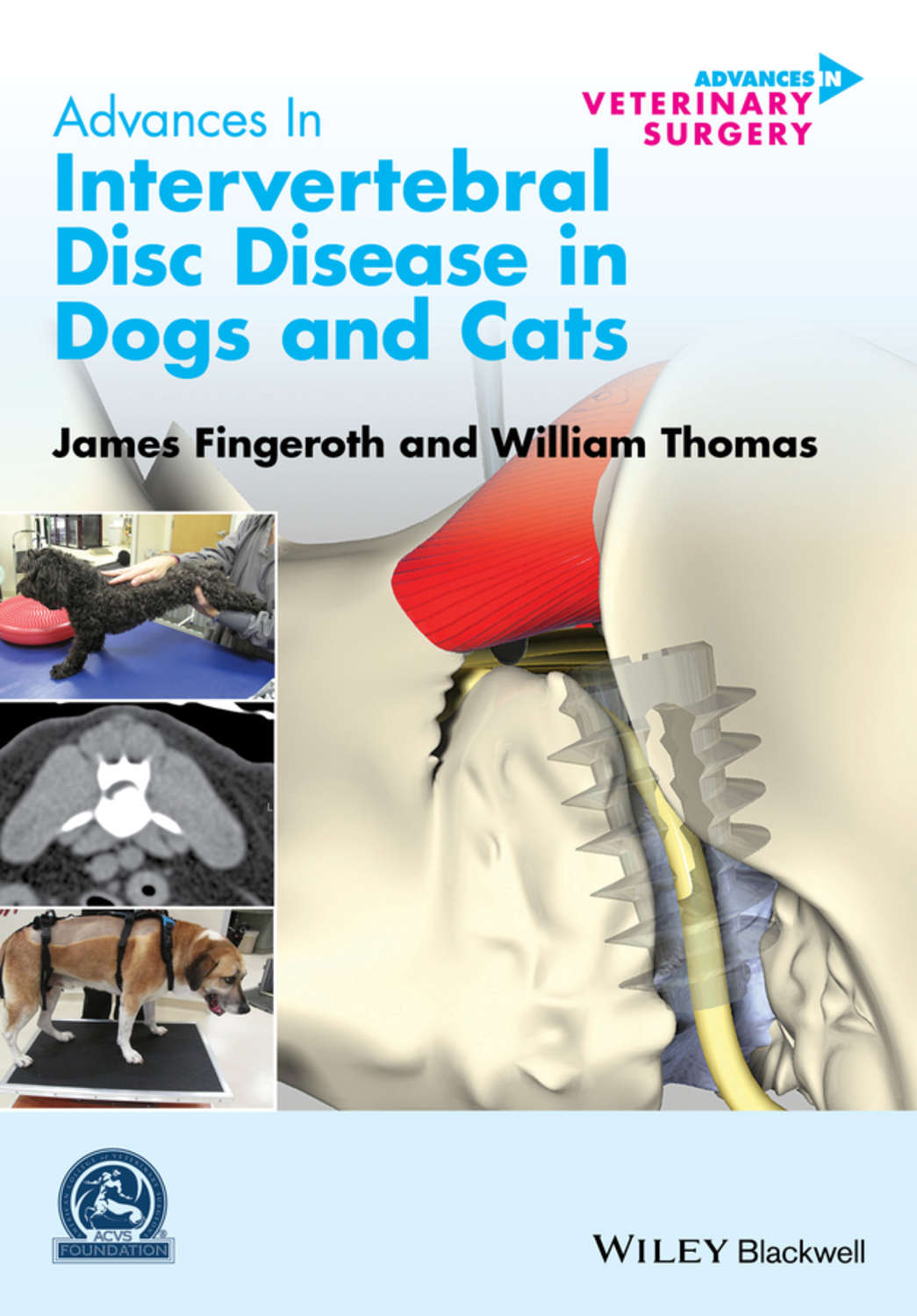«Advances in Intervertebral Disc Disease in Dogs and Cats», скачать