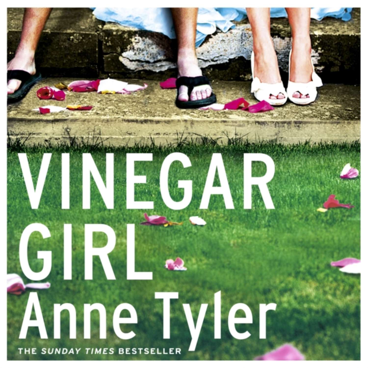 Ann is a girl. Tyler Anne "Vinegar girl". Tyler Anne "the tin can Tree". Энн Тайлер "уксусная девушка". Tyler Anne "Clock Dance".