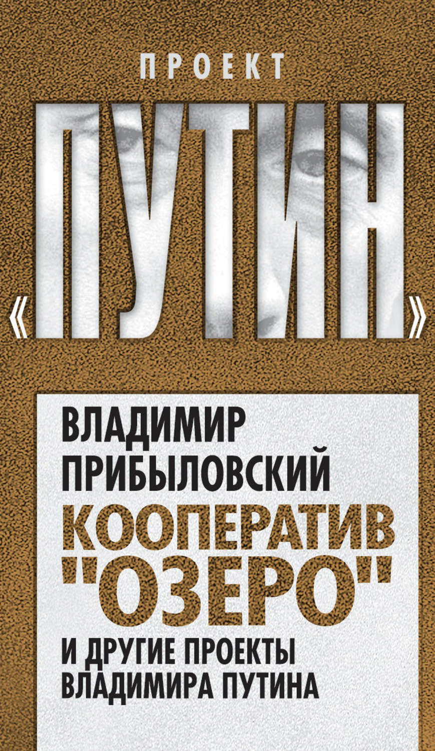 Кооператив озеро. Кооператив озеро и другие проекты Владимира Путина. Прибыловский Владимир Валерианович. Проект Путин книга.