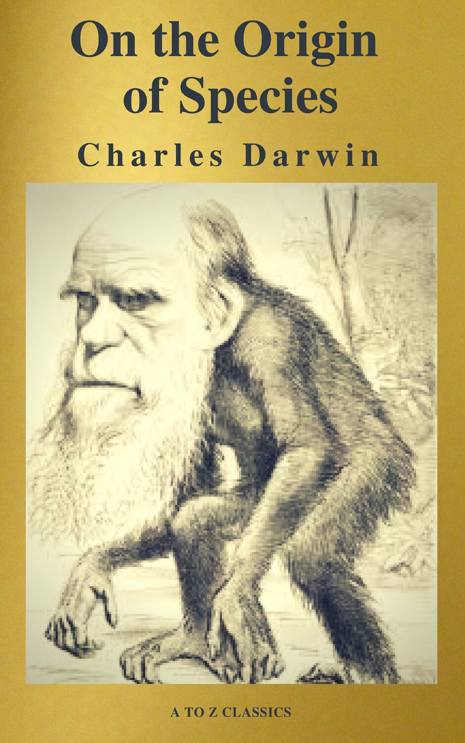 Charles Darwin books 1871